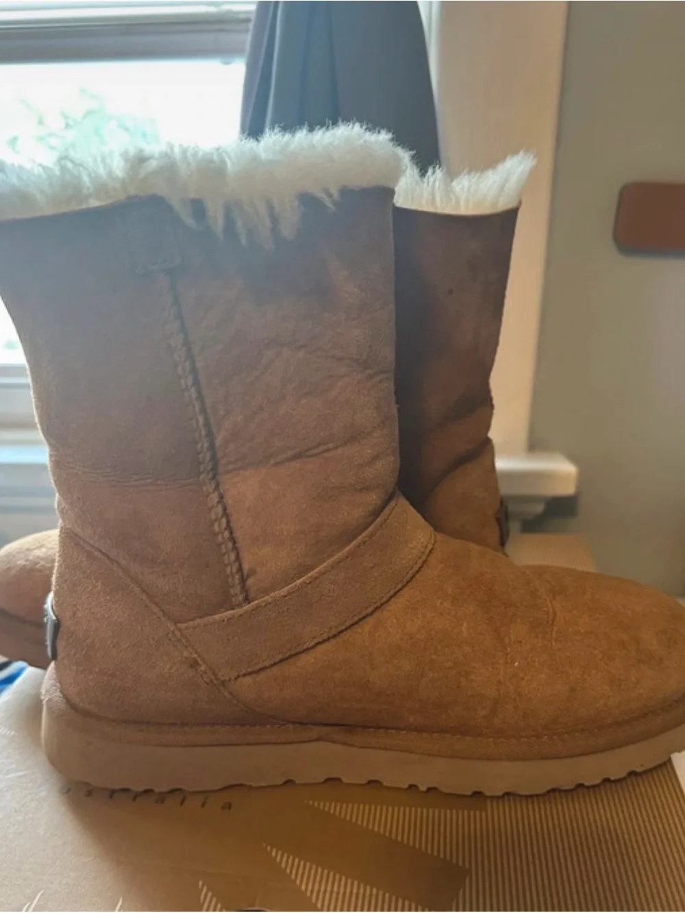 UGG Classic Blaise in Chestnut
